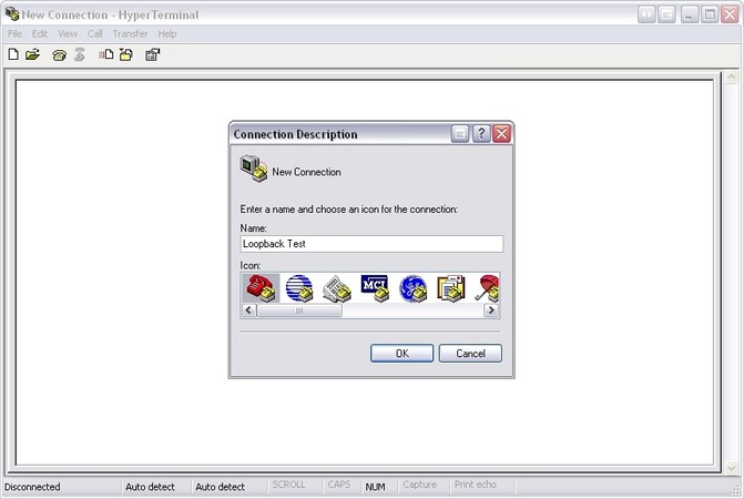Loopback test